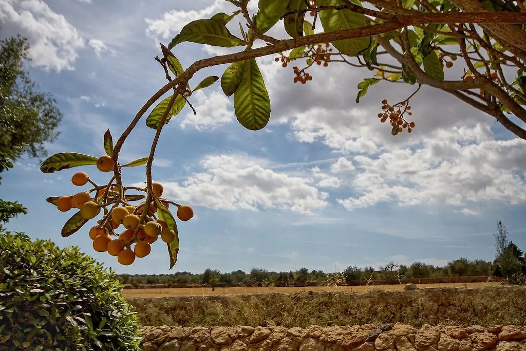 컨트리하우스 Finca Agroturismo Can Carro 캄포스 스페인