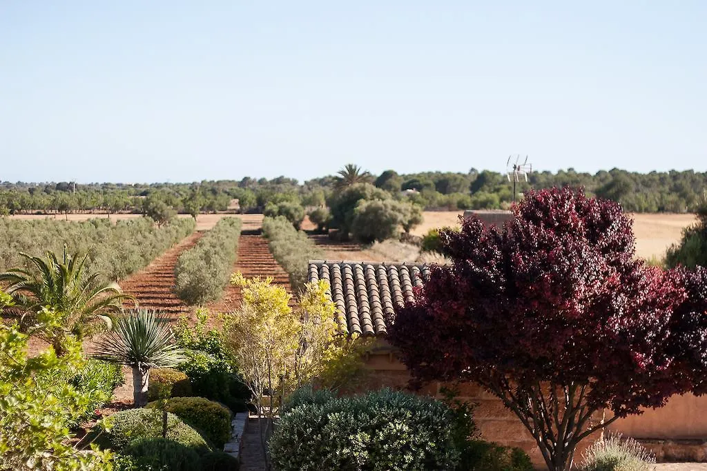 컨트리하우스 Finca Agroturismo Can Carro 캄포스